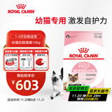 皇家幼猫奶糕 幼猫猫粮 BK34 通用粮 1-4月 10KG