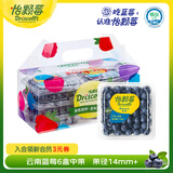 怡颗莓Driscoll's 新鲜云南蓝莓14mm+6盒礼盒装 约125g/盒 京东超市水果