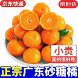 京地达广东砂糖橘新鲜水果净重9斤大果45-55mm源头直发包邮
