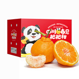 泰汇吃四川春见耙耙柑新鲜水果整箱孕妇橘子时令柑橘 净重4.5斤精选单果140g++