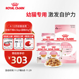 皇家猫粮 幼猫猫粮 干湿搭配 K36 4.5kg+啫喱肉冻KJP 85G*3