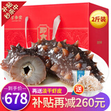 官参堂 大连底播即食海参新鲜辽刺参海鲜水产礼盒 1000g 14-18只 尊享