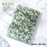 国誉（KOKUYO）Campus系列四孔活页本B5大容量笔记本高颜值本子可换替芯活页纸内页A5横线本学生记事本女生文具 【高颜值DIY】B5透明+春见梨花封面