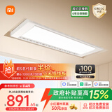 米家智能晾衣机Pro月光白 【国家补贴】小米电动隐形晾衣架超薄嵌入