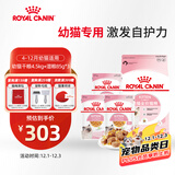 皇家猫粮 幼猫猫粮 干湿搭配 K36 4.5kg+啫喱肉冻KJP 85G*3