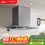 富士帝日本原装进口  油烟分离顶吸欧式吸油烟机 家用白色日系抽油烟机防油涂层易清洁CXW-230-CL260E 银色 SV