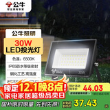 公牛（BULL）LED投光灯户外庭院工厂园林灯露营灯 IP65防水等级30W-6500K白光