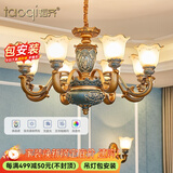 韬齐欧式吊灯客厅灯美式餐厅灯卧室灯别墅酒店大厅豪华复古灯具灯饰 【8头】适用15-22（配遥控） 全光谱单色LED灯泡