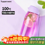 特百惠（Tupperware）乐趣550ML塑料杯夏季男女学生便携运动水杯子大容量双饮口 冰沙紫