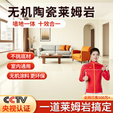 沃能陶瓷无机莱姆岩室内水泥地面墙面艺术漆内墙乳胶漆自刷地坪漆家用 白色 【墙地顶通用】10平米套餐（升级款/配豪华工具）