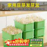 杰凯诺豆芽发芽器发豆芽神器发芽盆专用育苗盘水培种菜盆 绿色带盖