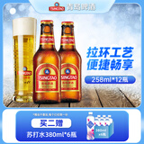青岛啤酒（TsingTao）金质小棕金拉环工艺原麦汁浓度11°P方便易携带 258mL 12瓶 整箱装