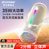 雷登（OHAYO）X10MAX无线便携式蓝牙音箱2025新款重低音炮大音量高音质户外迷你小型自行车骑行小音响防水音箱 2分频【传奇音质】35W赛道扬声器-灰 防尘防水+超长续航【当/次日达】