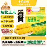 十月稻田 黄甜糯玉米 8根 3.52斤 真空包装 东北粘玉米棒 低脂早餐