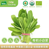 有机汇有机小白菜 杭白菜小青菜 宝宝辅食有机蔬菜无农残  当天新鲜采摘 250g