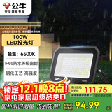 公牛（BULL）LED投光灯户外庭院工厂园林灯露营灯 IP65防水等级100W-6500K白光