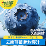 怡颗莓【颗颗饱满】当季云南蓝莓 国产蓝莓 新鲜水果送礼 【宝石特级蓝莓】200g*2盒 22mm+