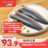 禧美海产 挪威青花鱼片净重3斤 独立包装 去脏烤鱼 海鲜