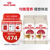 皇家成猫猫粮 营养均衡 F32 通用粮 1-7岁4.5kg*2
