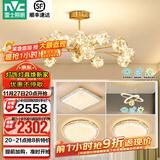 雷士（NVC）北欧现代轻奢智能网红led萤光客厅吊灯餐厅吊灯中山灯具灯饰套餐 力荐 萤光吊杆套餐【三室两厅】