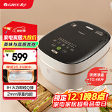 大松（TOSOT）格力低糖电饭煲家用2-3人电饭锅3L智能多功能米汤分离沥米饭粗粮煲汤煮粥ih加热【许我耀眼推荐】