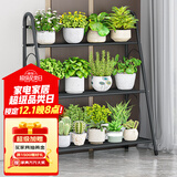 蜗家花架阶梯式阳台装饰花架落地简约多肉花盆架层架置物花架