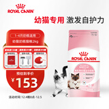 皇家幼猫奶糕 幼猫猫粮 BK34 通用粮 1-4月 2KG