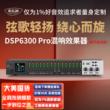 麦乐迪DSP6300卡拉ok混响器 数字音频前级效果器 家庭影院防啸叫调音台处理器含话筒 调音台均衡器 DSP6300 Pro豪华升级版(含线) 标准版