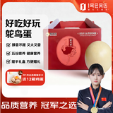 蒙元鸵鸵鸟蛋 2.5斤(1枚)新鲜巨无霸特大禽蛋源头直发包邮 礼盒特产