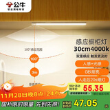 公牛（BULL）感应橱柜灯衣柜灯LED人感光感磁吸 卧室床沿玄关小夜灯30CM4000K