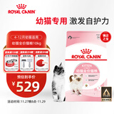 皇家幼猫猫粮 幼猫奶糕 K36 通用粮 4-12月 10KG