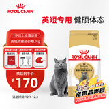皇家猫粮 英短成猫粮 BS34 通用粮 12月以上 2KG