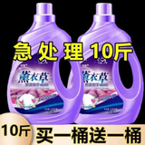 优观【新人券后0.01】10斤薰衣草香洗衣液大桶实惠装洗衣服香水味 一份0.5斤10份发[一瓶共5斤]