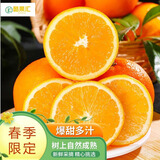 酷果汇湖北秭归脐橙纽荷尔橙子当季新鲜手剥橙新鲜孕妇生鲜整箱水果 净重 3斤60-65mm
