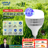欧普（OPPLE）LED灯泡2级能效灯泡E27螺口商用摆摊大功率厂房工矿灯100瓦白光