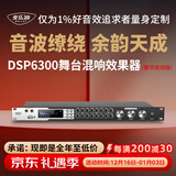 麦乐迪DSP6300卡拉ok混响器 数字音频前级效果器 家庭影院防啸叫调音台处理器含话筒 调音台均衡器 DSP6300豪华升级版(含线) 标准版