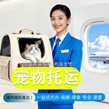 世宠国际宠物托运寄运深圳上海重庆北京全国京东上门服务航空陆运快递猫狗 西北地区（村镇可达）