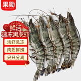 果勋鲜活速冻黑虎虾 净重2.8斤 60-80只 海鲜大虾类高虾青素海鲜水产