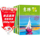 套装4册 意林高票好文 意林20周年纪念书 王芳推荐 初中生高中必读精选美文 中考高考满分作文优美句子写作素材积累