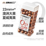 天虹牌800g原味罐装澳洲夏威夷果每日坚果炒货大颗粒休闲健康干果送礼