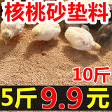 琪康芦丁鸡核桃砂垫料生物酶除臭鹦鹉专用清洁沙子打底小仓鼠木屑用品 核桃砂：0.8-1.2mm5斤