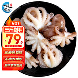 一虾一世界鲜活冷冻小八爪鱼 三去迷你章鱼仔去齿去内脏 火锅烧烤年夜饭食材 免处理中号 3斤(净重)  4-6只/斤