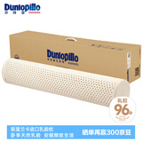 邓禄普（Dunlopillo）ECO长抱枕 斯里兰卡进口天然乳胶枕头 颈椎枕