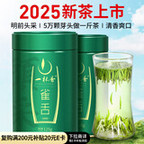 一杯香茶叶绿茶贵州湄潭雀舌芽头250g2025新茶明前礼盒装自己喝自饮茗茶