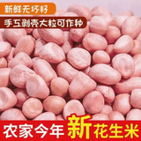 【新人立减3元！】2025年新花生米生新货白沙农家生花生饱满饭店 无壳【25年新货】 500g*3袋