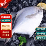 海升东深海银鲳鱼 超大白鲳鱼 清蒸红烧平鱼昌鱼 野生净重生鲜 元旦送礼 无冰净重2条（8两-1斤/条）