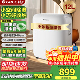 格力（GREE）【低噪小体积】除湿机抽湿机家用12升/天单间适用面积≤24㎡除湿器抽湿器支持24H定时DH12EN