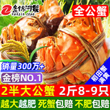 【活蟹】网兜蟹辽宁盘锦河蟹稻田河蟹礼盒螃蟹鲜活大闸蟹无绳净重 全公蟹丨2.2-2.5两【2斤】8-9只（满膏）