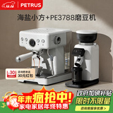柏翠(petrus) 咖啡机意式浓缩家用小型半自动蒸汽打奶泡 海盐小方PE3833+PE3788