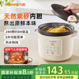 九阳（Joyoung）【国家补贴】电炖锅电砂锅电炖盅炖汤盅煲汤锅高温瓷燕窝炖盅煮粥神器熬粥专用锅3L大容量GD317